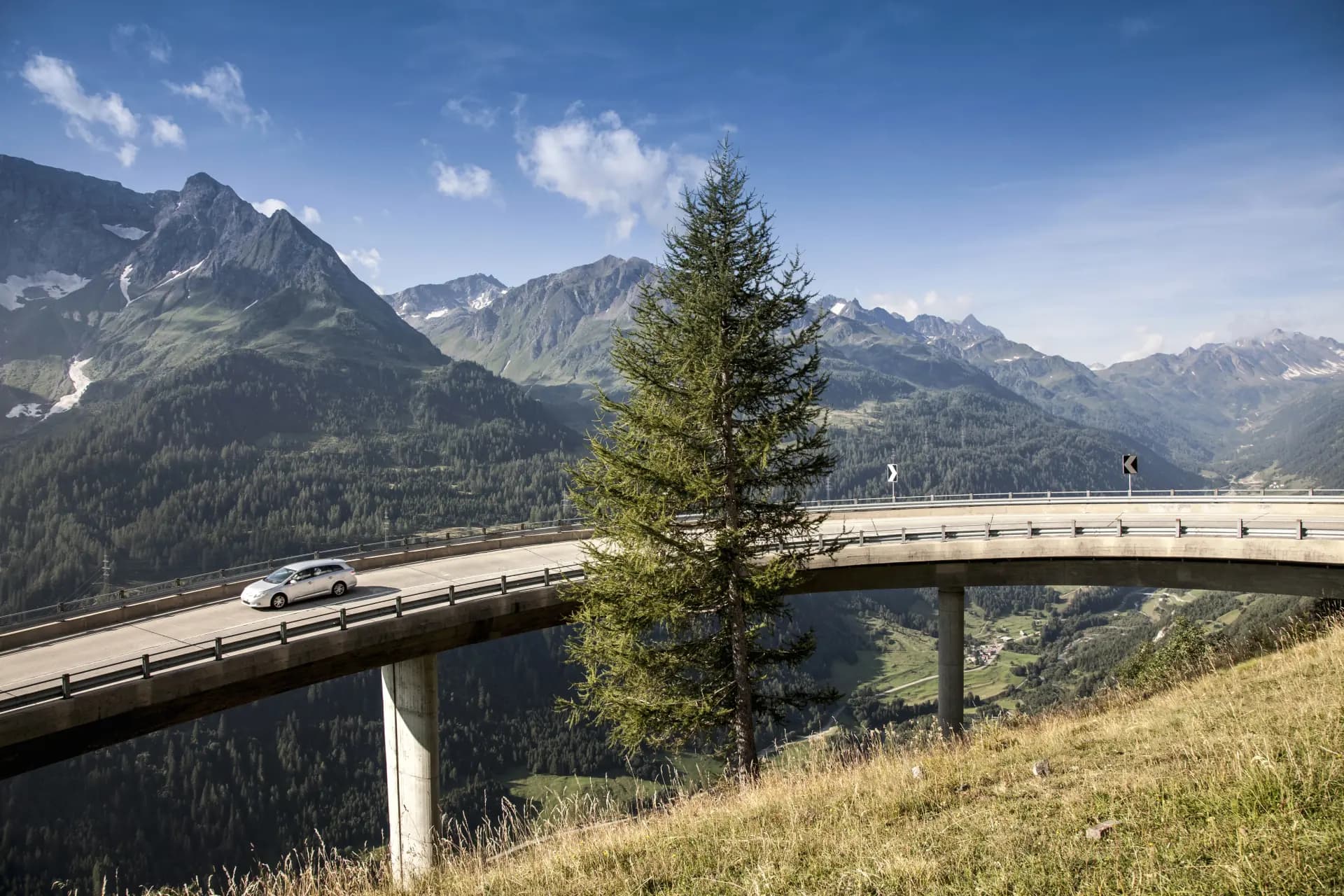 Car rental