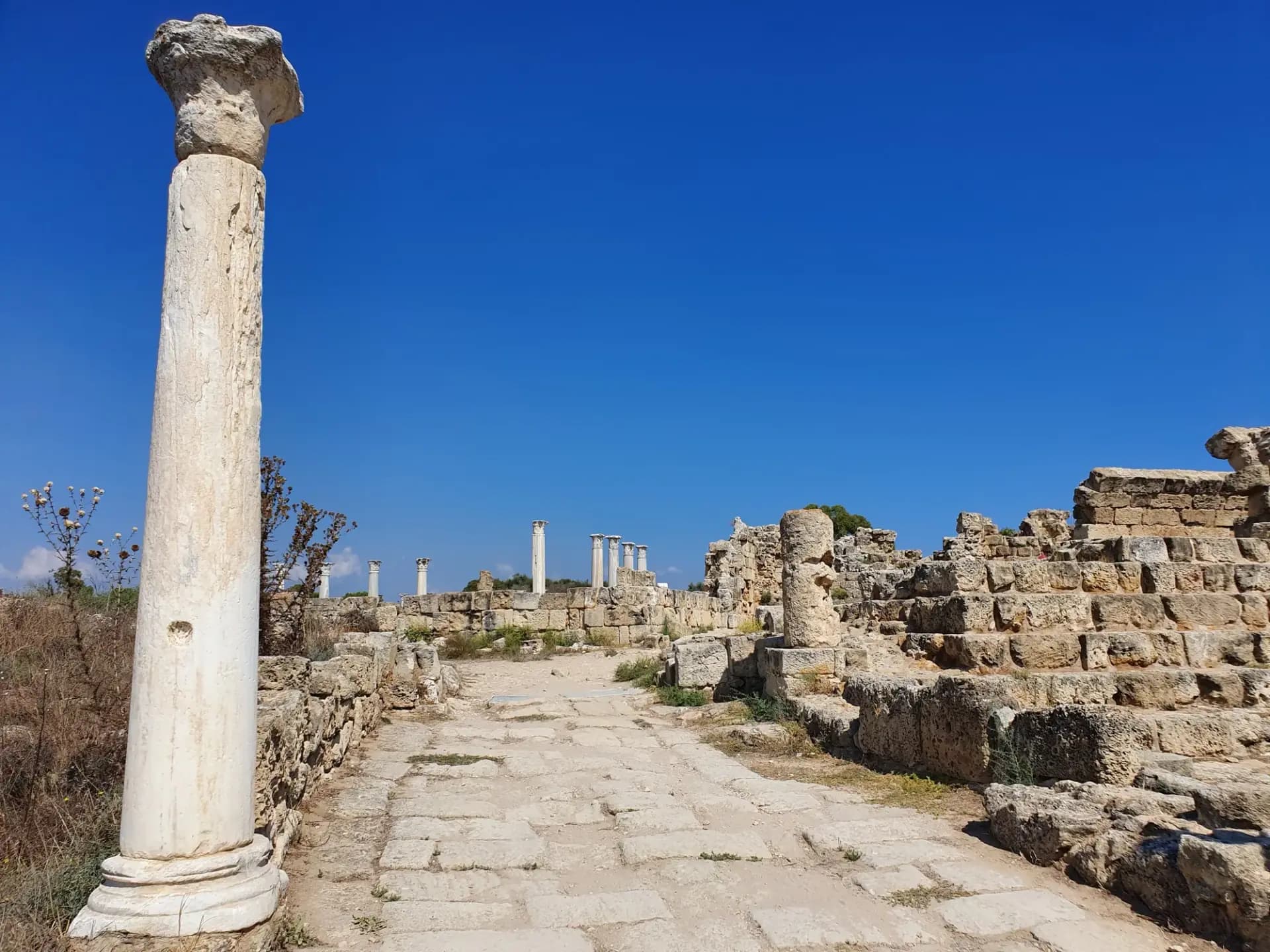 Salamis ruins, 20