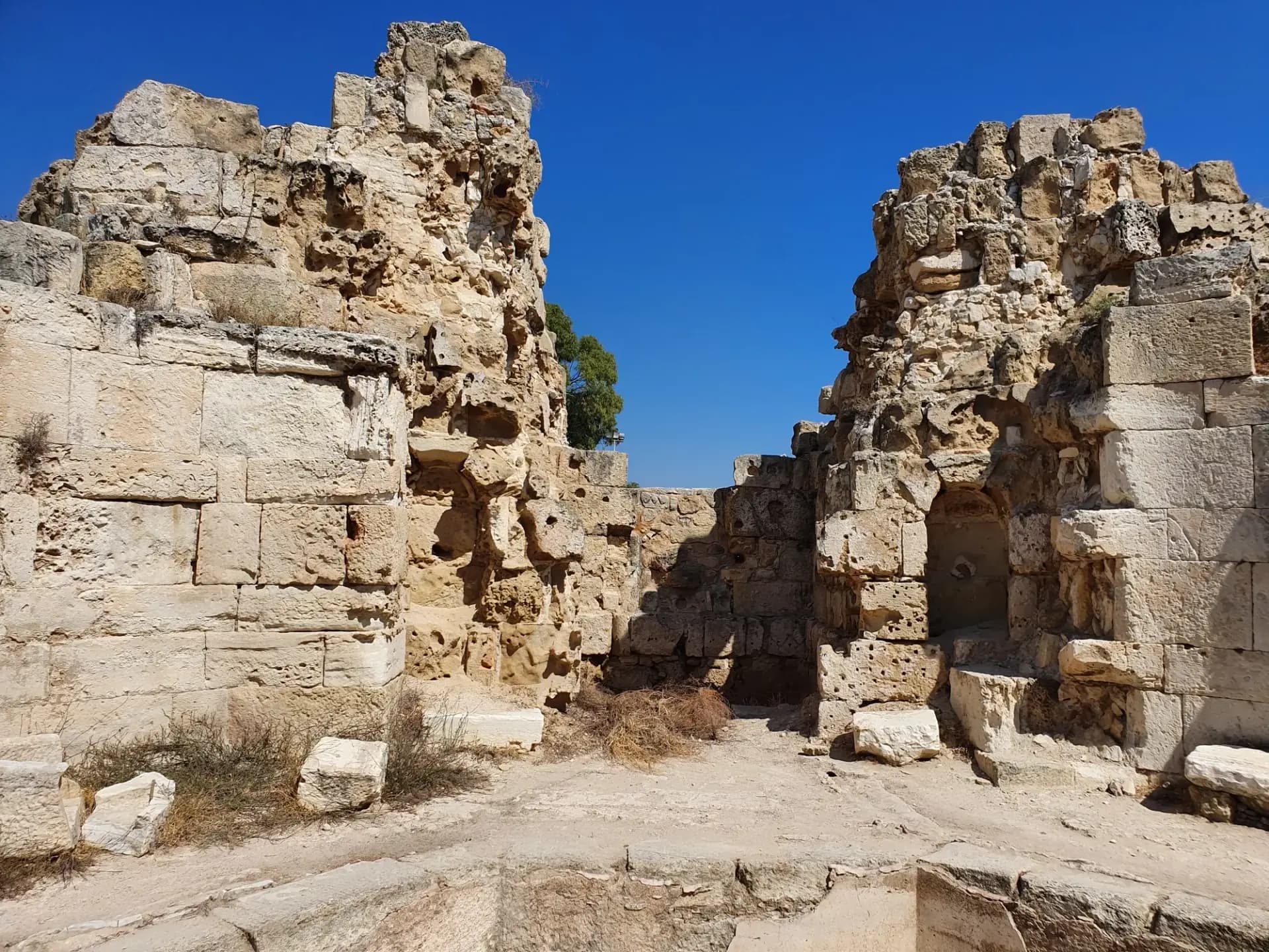 Salamis ruins, 19