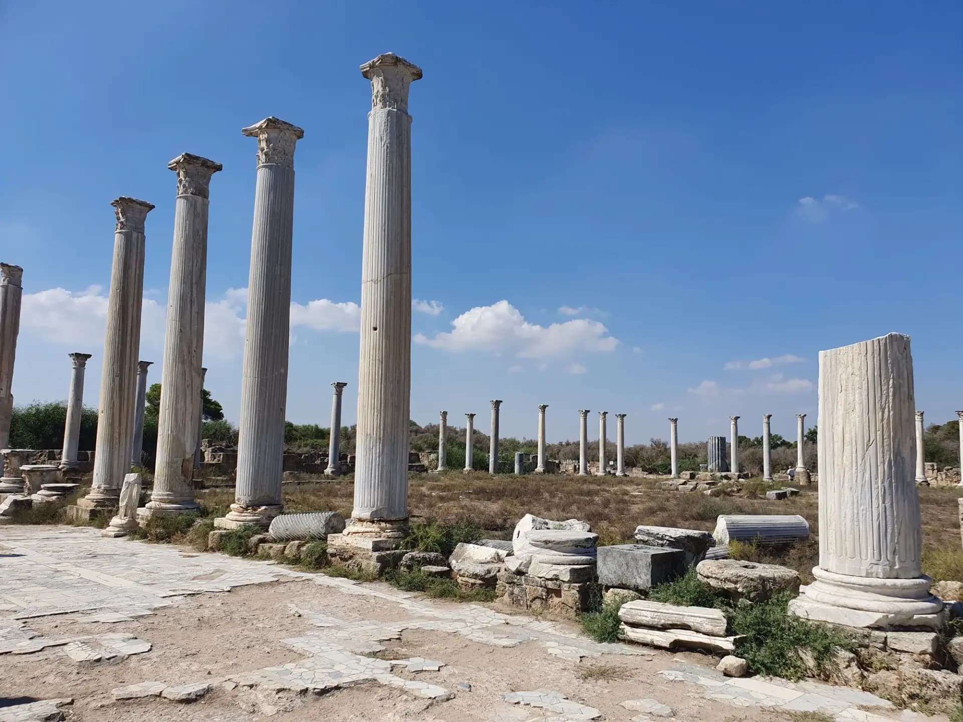 Salamis ruins, 2